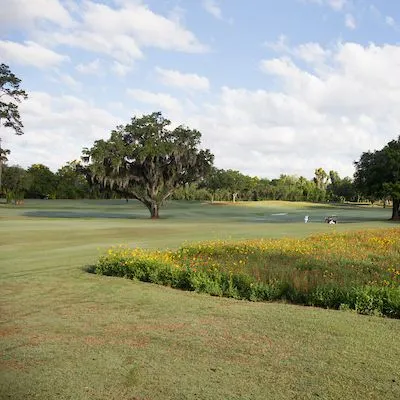 thumbnail for publication: Recommendations for N, P, K, and Mg for Golf Course and Athletic Field Fertilization Based on Mehlich III Extractant